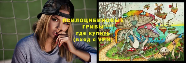 сатива Арсеньев