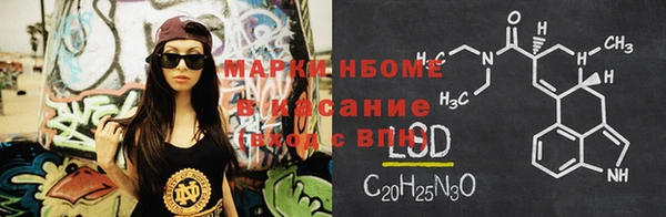 сатива Арсеньев