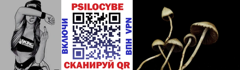 Галлюциногенные грибы GOLDEN TEACHER Купить закладки Нариманов